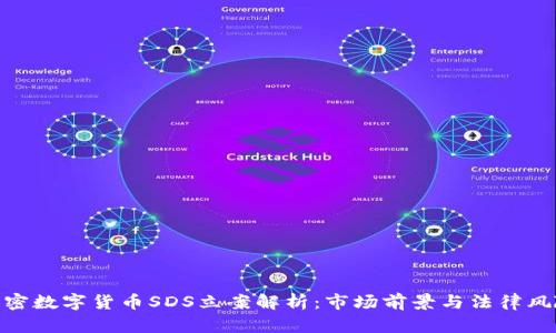 加密数字货币SDS立案解析：市场前景与法律风险