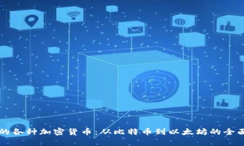 美国的各种加密货币：从比特币到以太坊的全面解析