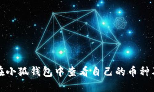 如何在小狐钱包中查看自己的币种及余额