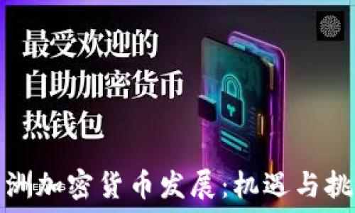    
非洲加密货币发展：机遇与挑战