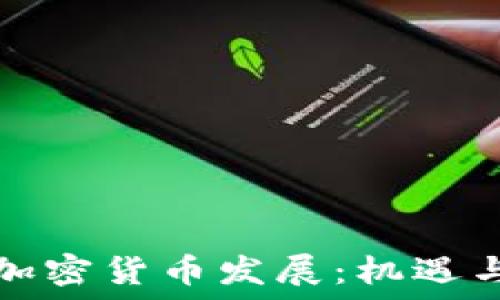    
非洲加密货币发展：机遇与挑战