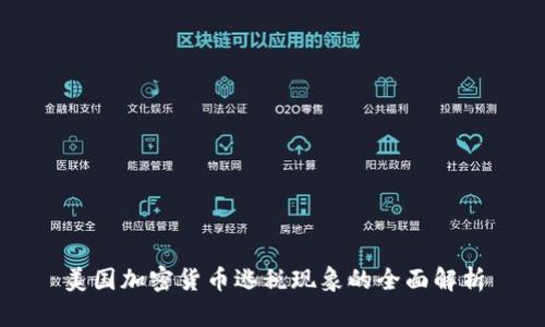 美国加密货币逃税现象的全面解析