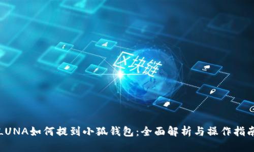 LUNA如何提到小狐钱包：全面解析与操作指南