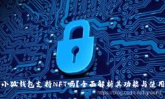 小狐钱包支持NFT吗？全面