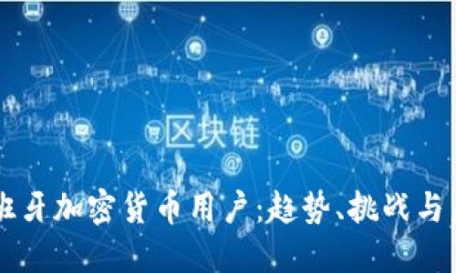 西班牙加密货币用户：趋势、挑战与未来