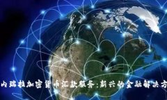 委内瑞拉加密货币汇款服务：新兴的金融解决方