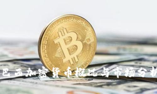 巴西加密货币概况与市场分析