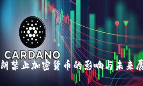 伊朗禁止加密货币的影响与未来展望