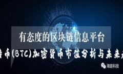 比特币(BTC)加密货币市值分