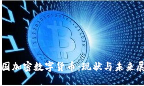 法国加密数字货币：现状与未来展望