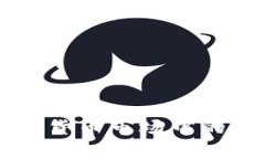 新加坡加密货币市场中的