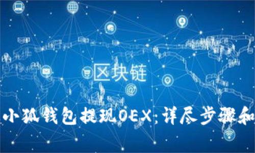 如何通过小狐钱包提现OEX：详尽步骤和注意事项
