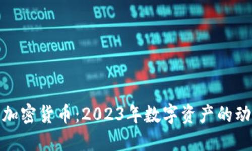 探索最新加密货币：2023年数字资产的动态与趋势