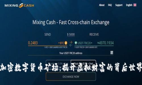 加密数字货币矿场：揭开虚拟财富的背后世界