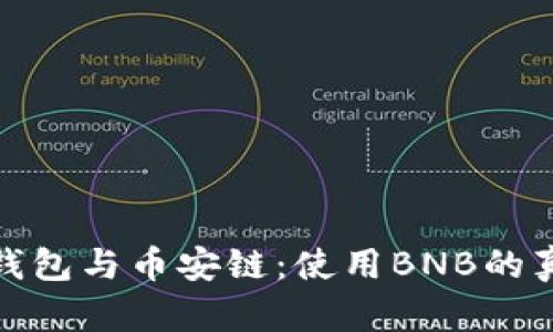 探索小狐钱包与币安链：使用BNB的真实必要性