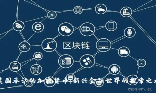 美国承认的加密货币：新兴金融世界的探索之旅