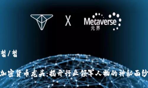 皙/皙

加密货币龙头：揭开行业领军人物的神秘面纱