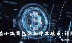 如何在小狐钱包添加中本聪币：详细教程