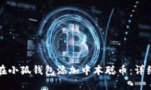 如何在小狐钱包添加中本聪币：详细教程