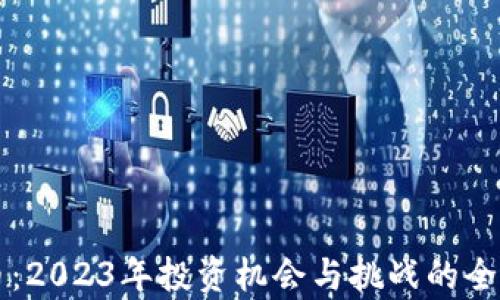 
比特币：2023年投资机会与挑战的全面分析