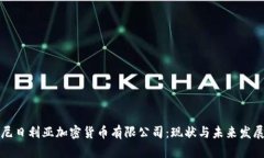 尼日利亚加密货币有限公司：现状与未来发展