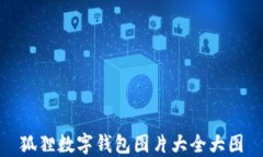 狐狸数字钱包图片大全大图