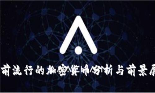目前流行的加密货币分析与前景展望