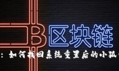 Title: 如何找回系统重置后的小狐钱包？