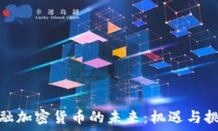   金融加密货币的未来：机遇与挑战