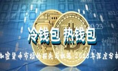 加密货币市场的损失与机遇：2023年深度分析