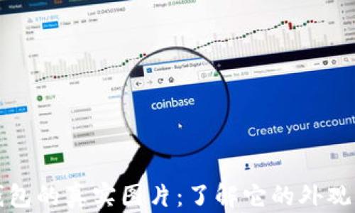 
小狐钱包的真实图片：了解它的外观与功能