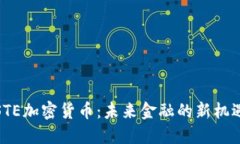 STE加密货币：未来金融的